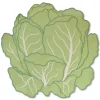 Cabbage Placemat