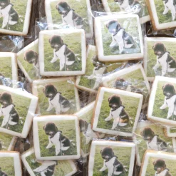 Custom Printed Cookies