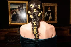 Farfalle Barrettes (4)