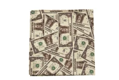 Money Napkins (4)