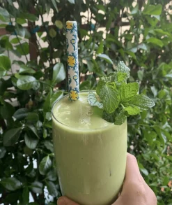 Signature Ceramic Straws (4)