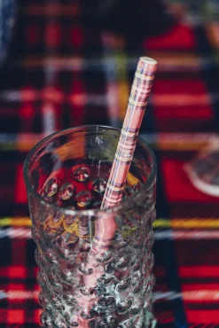Tartan Ceramic Straws (4)